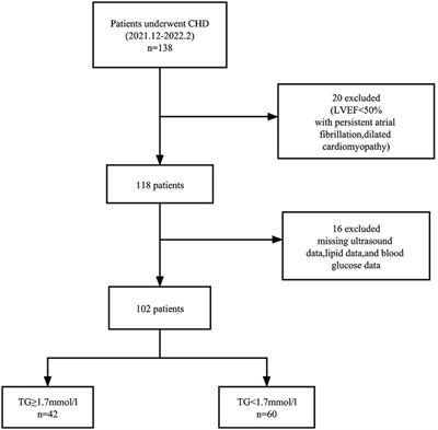 Effect of hypertriglyceridemia on left ventricular global longitudinal strain in patients with coronary heart disease in Jilin Province, China: a cross-sectional study